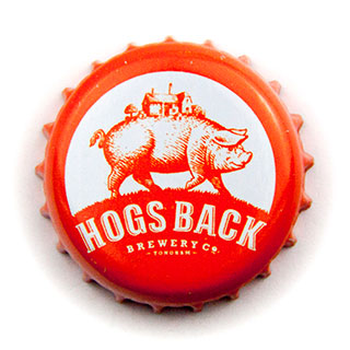 Hogs Back orange crown cap